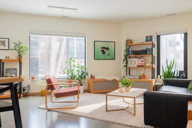 rug in a living room 